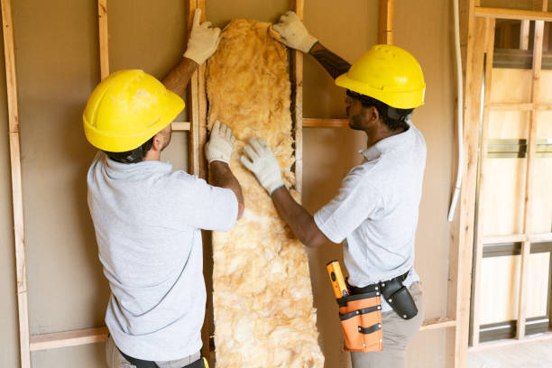 Best Basement Insulation  in North Randall, OH